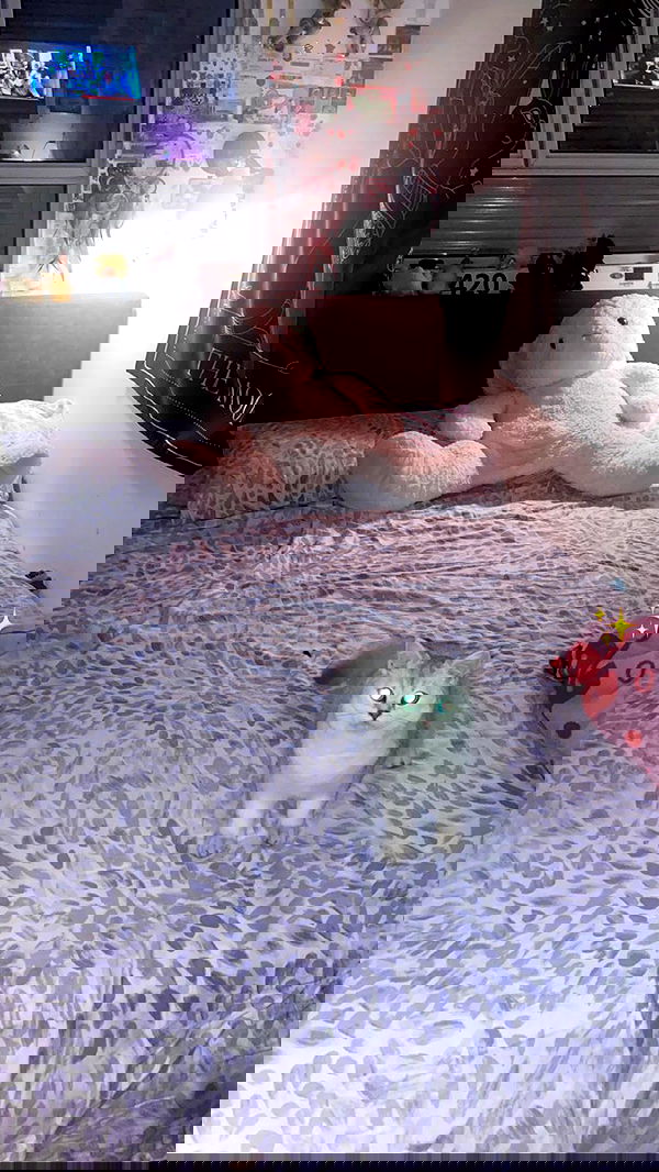 rose_xanne rose_xanne archive image