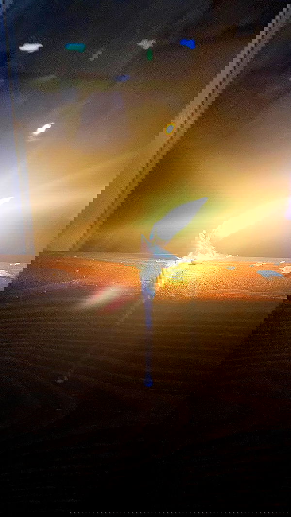 rose_xanne rose_xanne archive image