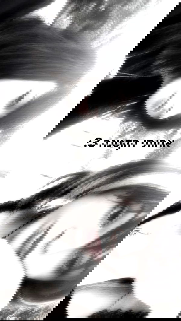 rose_xanne rose_xanne archive image