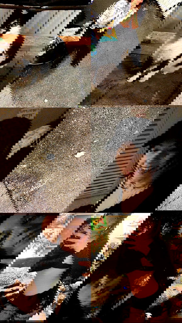 rose_xanne rose_xanne archive image