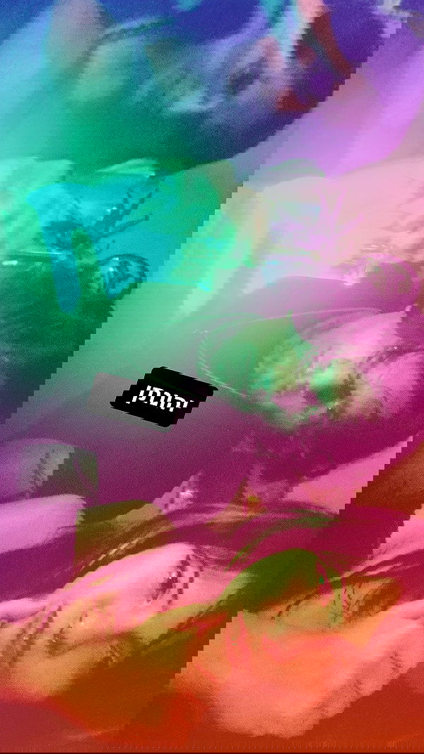 rose_xanne rose_xanne archive image