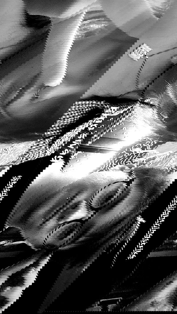 rose_xanne rose_xanne archive image