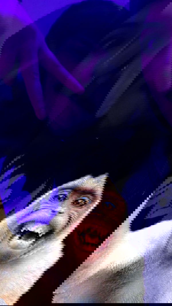 rose_xanne rose_xanne archive image