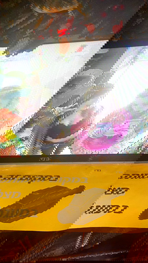 rose_xanne rose_xanne archive image