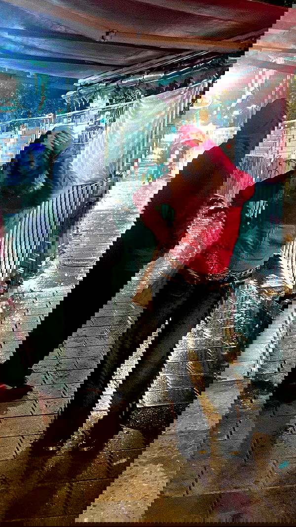 rose_xanne rose_xanne archive image