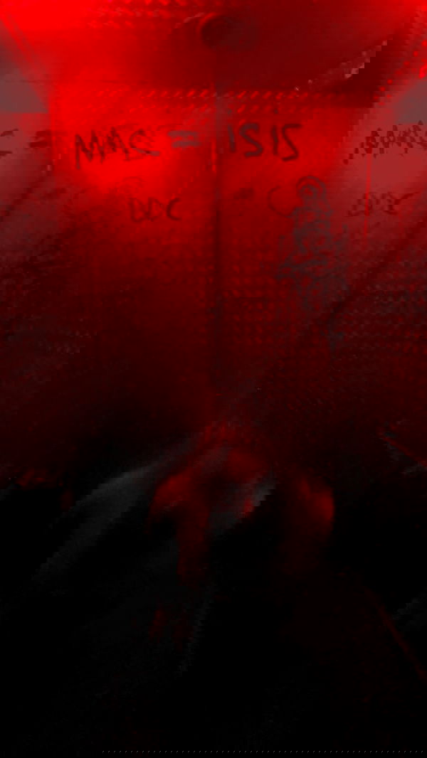 rose_xanne rose_xanne archive image