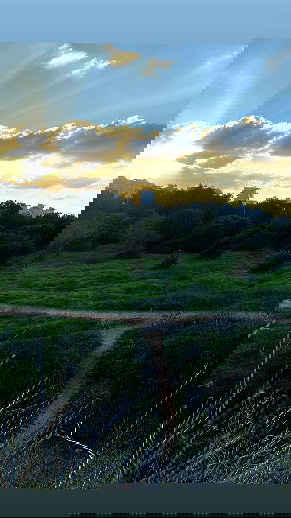 rose_xanne rose_xanne archive image