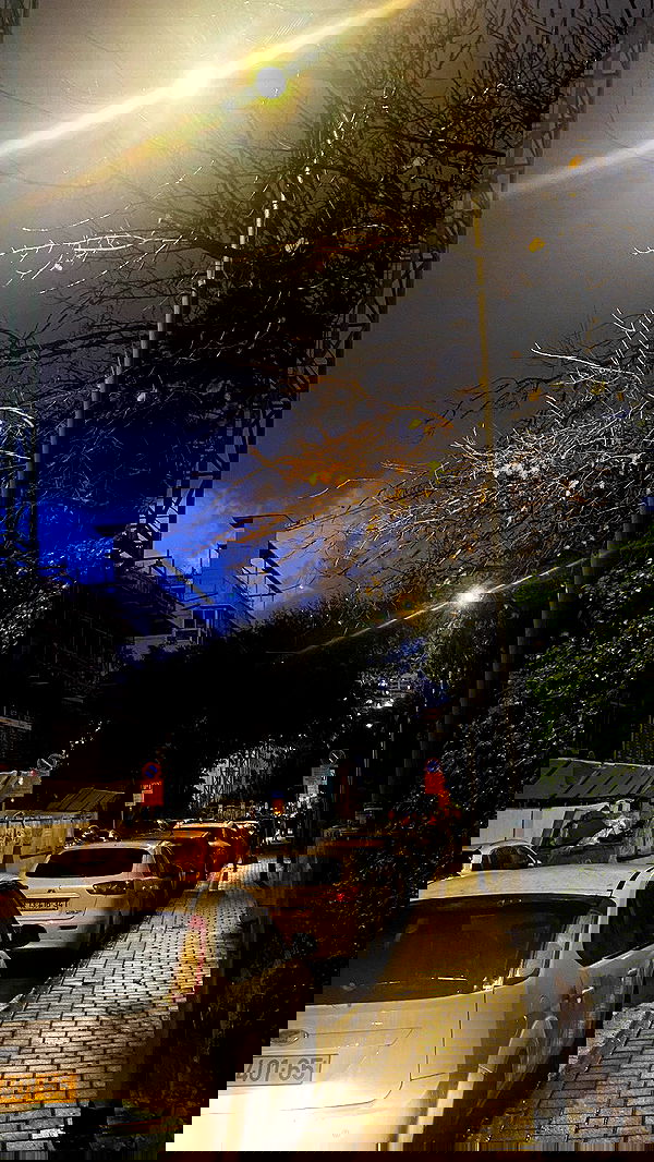 rose_xanne rose_xanne archive image