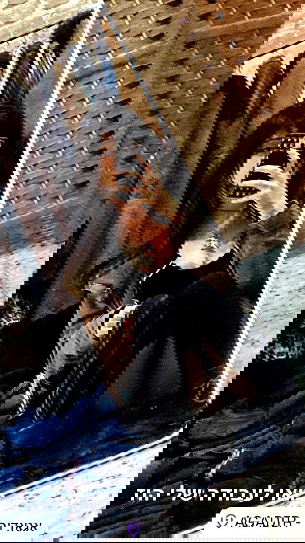 rose_xanne rose_xanne archive image