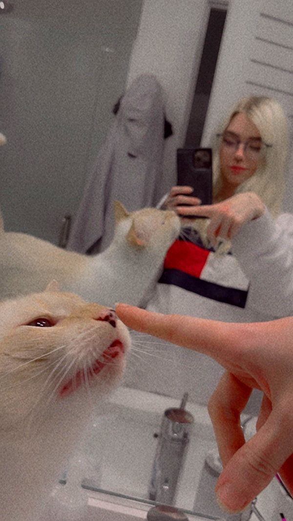 saekkico instagram image archive image
