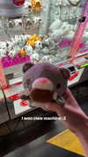 saekkico Altpins Profile Picture