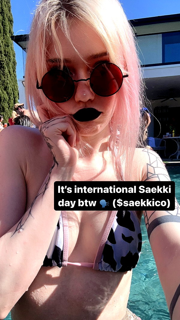 saekkico instagram image archive image
