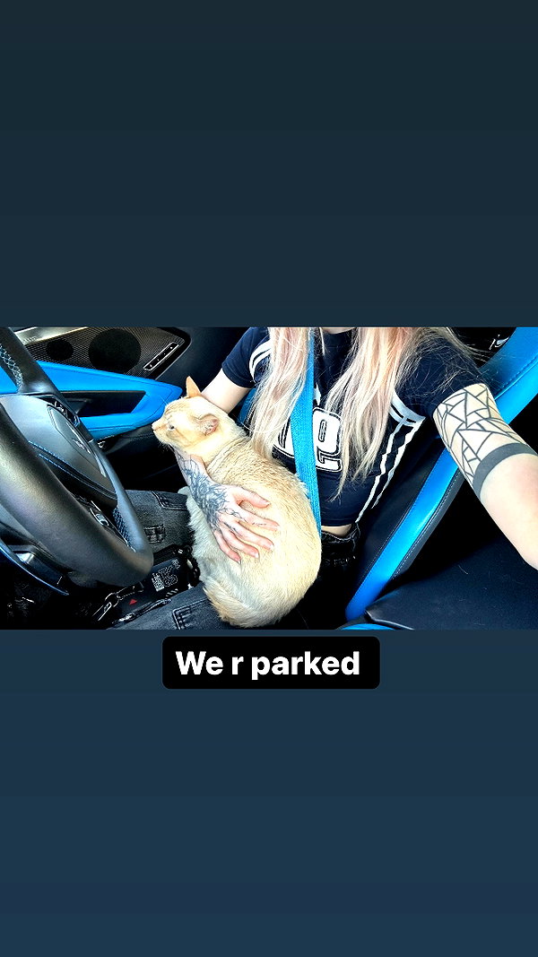saekkico instagram image archive image