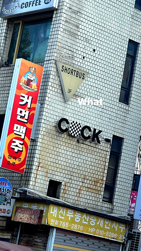 saekkico instagram image archive image