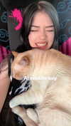 saekkico Altpins Profile Picture