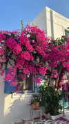 sandrineburgess Altpins Profile Picture