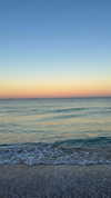 sandrineburgess Altpins Profile Picture