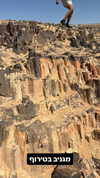 sapir_shemer Altpins Profile Picture