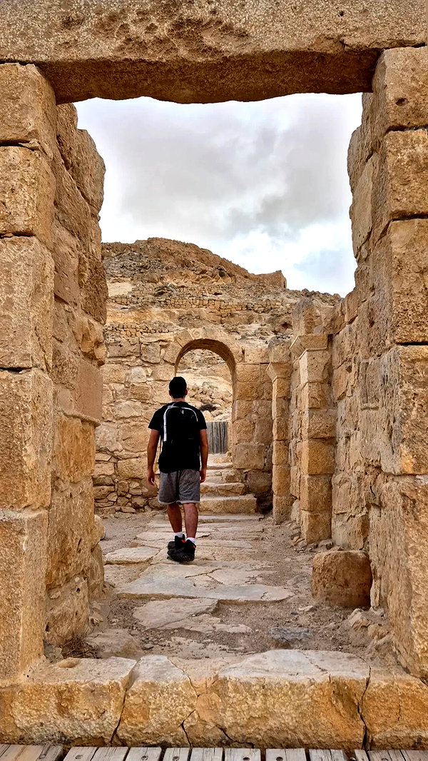 sapir_shemer instagram image archive image