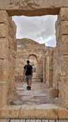 sapir_shemer Altpins Profile Picture