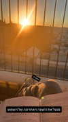 sapir_shemer Altpins Profile Picture