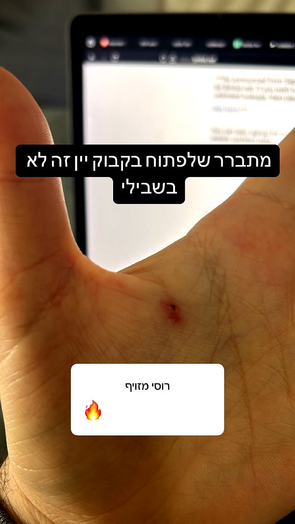 sapir_shemer instagram image archive image