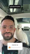 sapir_shemer Altpins Profile Picture