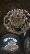 saracrumbleleg Altpins Profile Picture