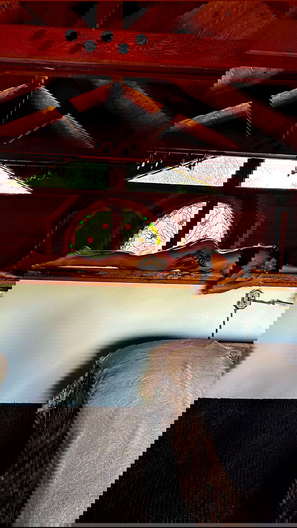 sedonaskyxo sedonaskyxo archive image