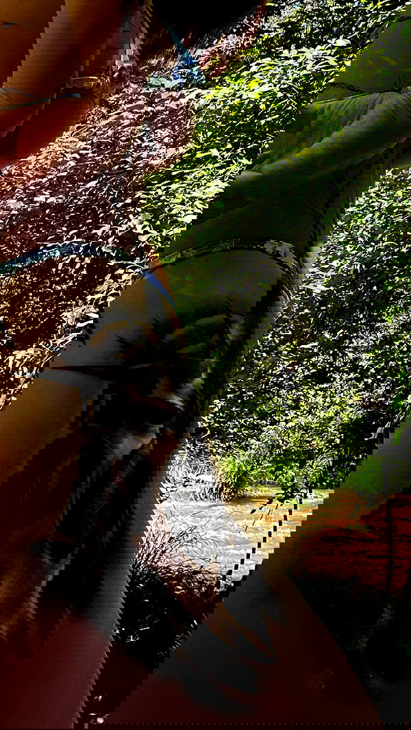 sedonaskyxo sedonaskyxo archive image