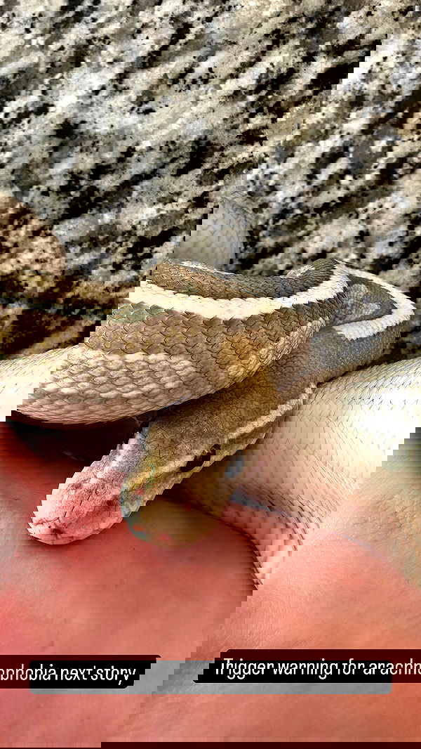 sedonaskyxo sedonaskyxo archive image