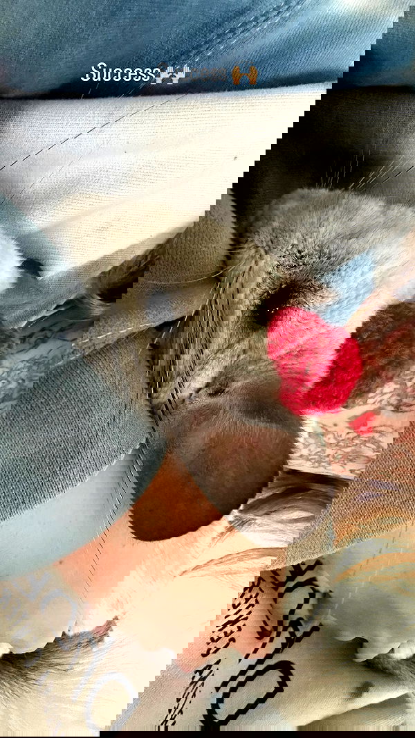 sedonaskyxo sedonaskyxo archive image