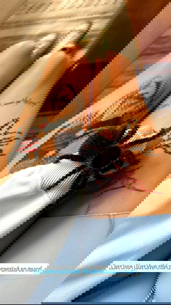 sedonaskyxo sedonaskyxo archive image