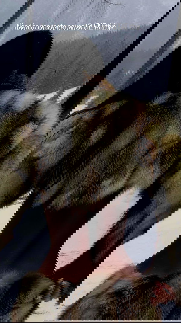 sedonaskyxo sedonaskyxo archive image