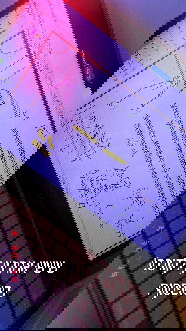 seilorkittyofficial seilorkittyofficial archive image