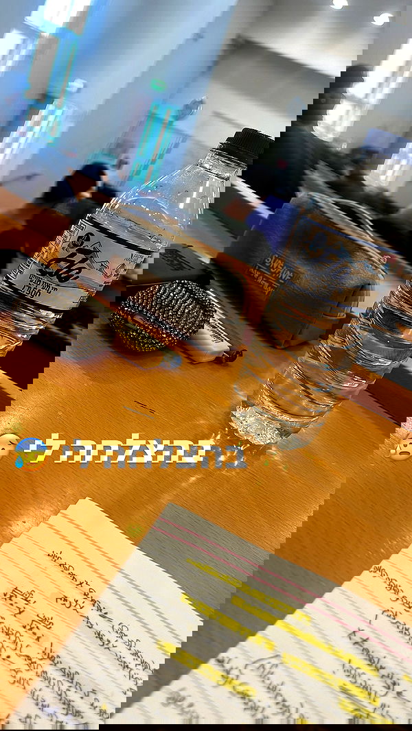 seilorkittyofficial seilorkittyofficial archive image