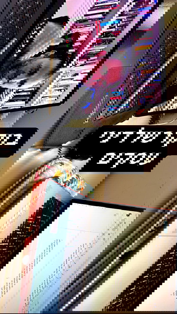 seilorkittyofficial seilorkittyofficial archive image