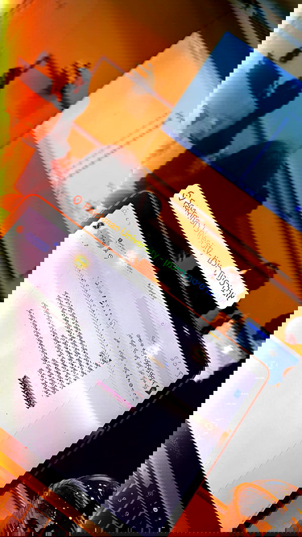 seilorkittyofficial seilorkittyofficial archive image