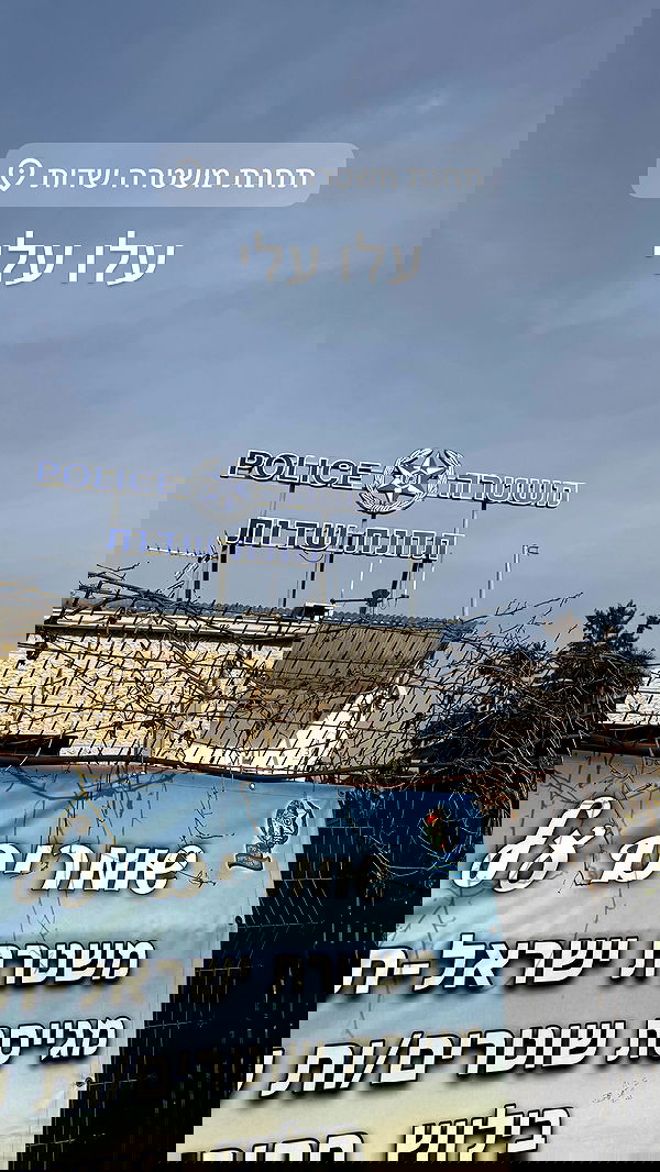 seilorkittyofficial seilorkittyofficial archive image