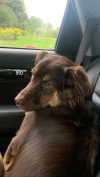 serenaasums Altpins Profile Picture