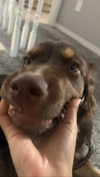serenaasums Altpins Profile Picture