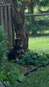 serenaasums Altpins Profile Picture