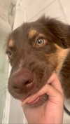 serenayamal Altpins Profile Picture