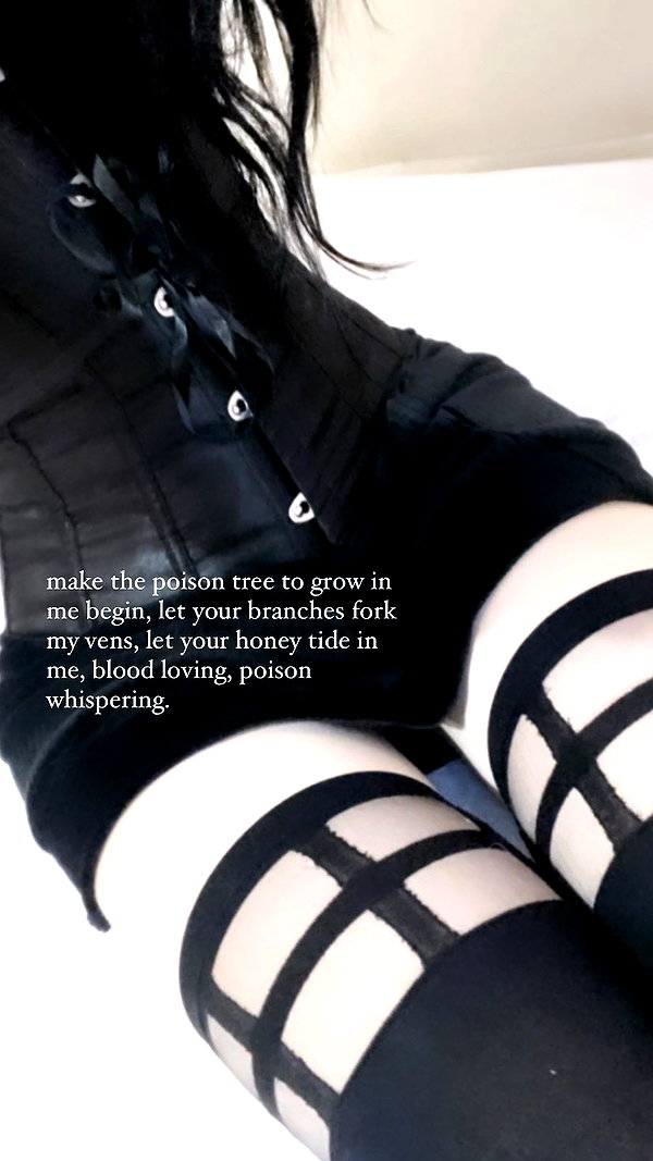 sexmetalwhore sexmetalwhore archive image