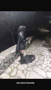 sexmetalwhore Altpins Profile Picture