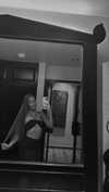shani.zeltzer Altpins Profile Picture