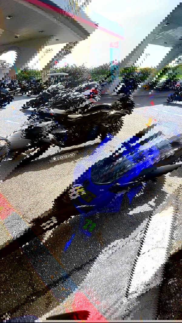 shanidahan7 image ~ Altpins