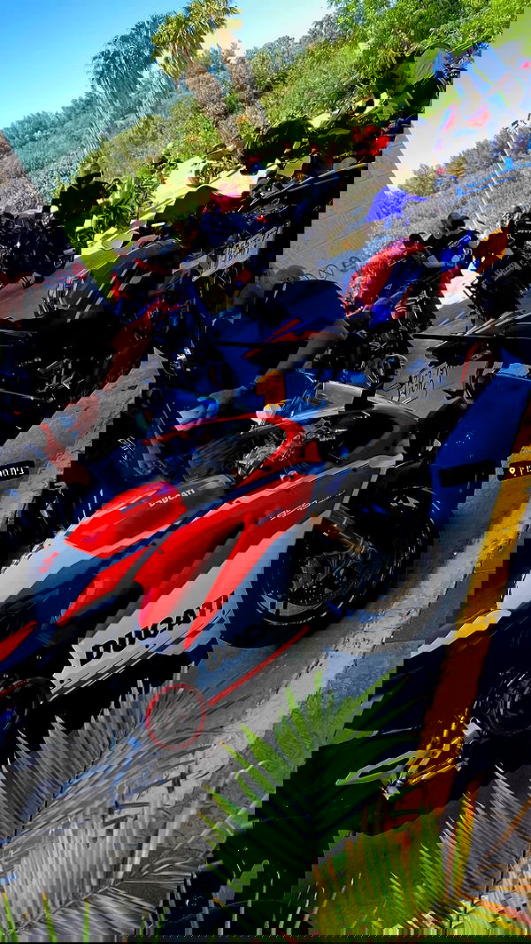 shanidahan7 image ~ Altpins