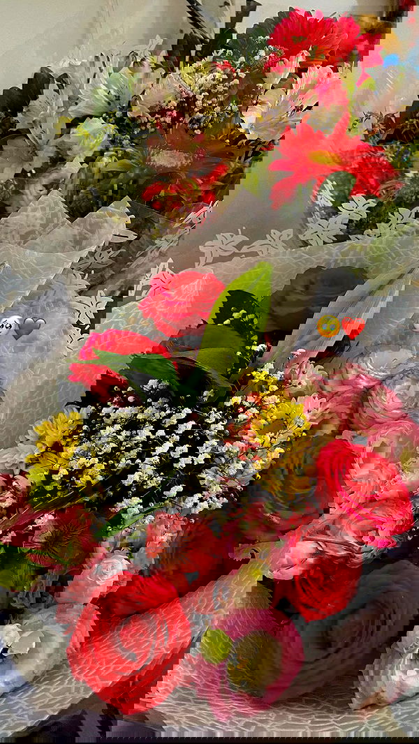 shanidahan7 image ~ Altpins