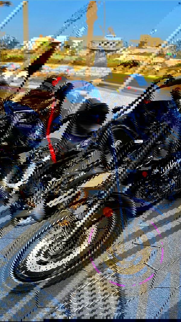 shanidahan7 image ~ Altpins